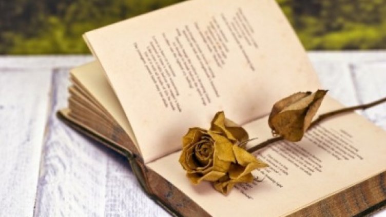 Световния ден на поезията отбелязваме днес