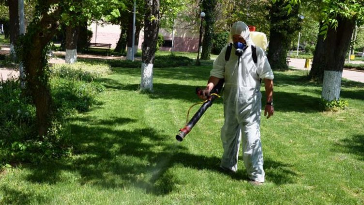 Антоанета Тончева: Комарите във Варна не разнасят зарази