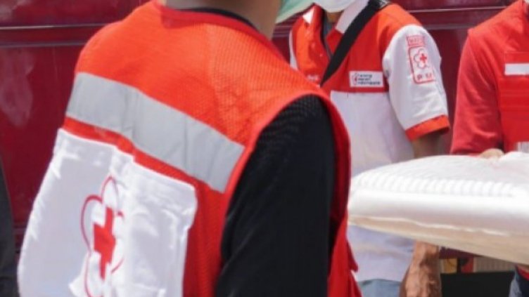 Да пропътуваш хиляди километри, за да умреш у дома, до майка си 