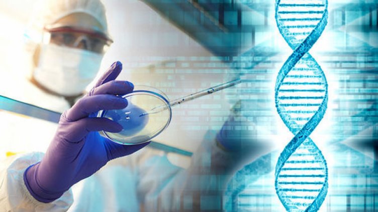 Учени създадоха полусинтетични човешки клетки