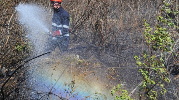 Снимка Пламен Гутинов, архив