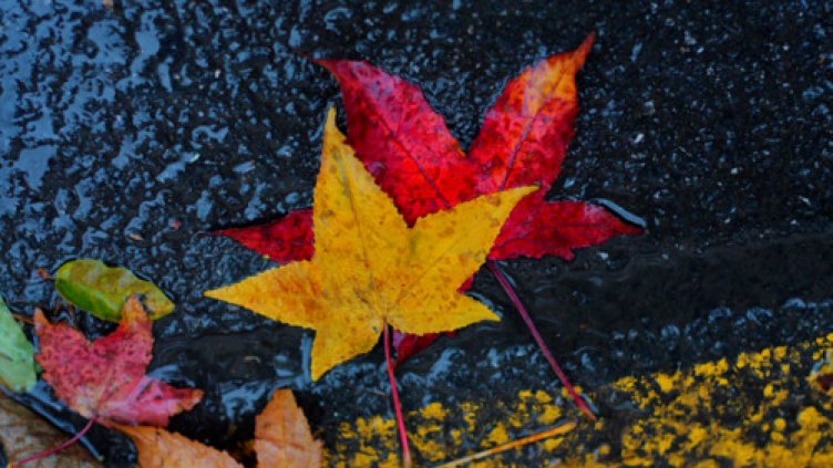 До 15 градуса днес във Варна