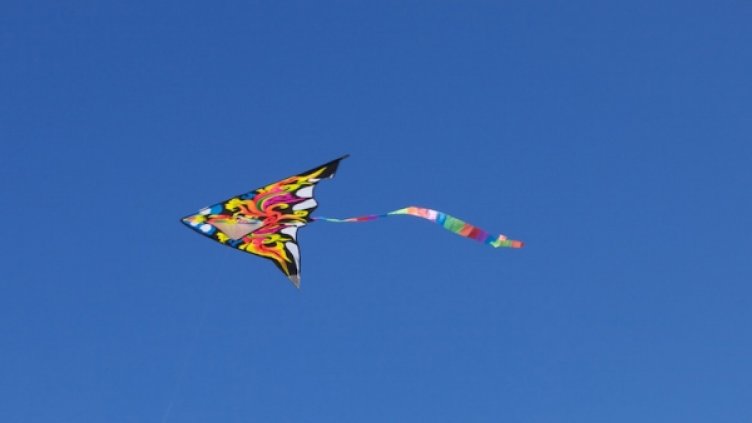 Няма сериозни щети в курортите край Варна след пороите  