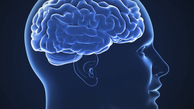 Снимка: Thinkstock