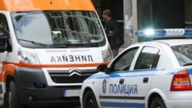 Роми нападнаха с камъни горски заради незаконна сеч