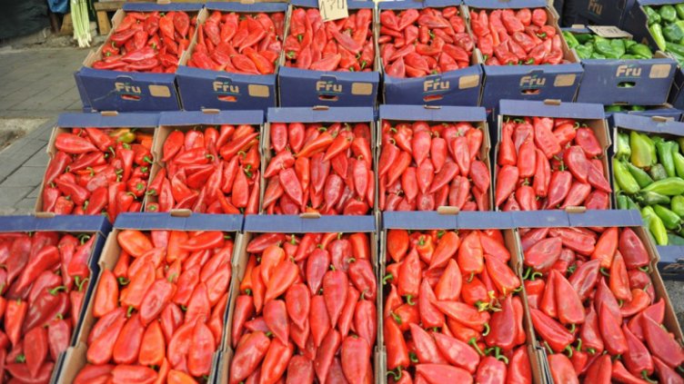 Върнатият от Русия зеленчук става на туршия в Турция