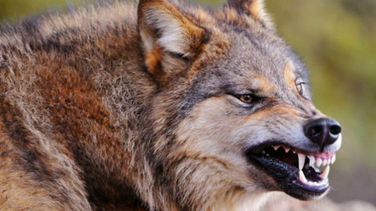 Снимката е илюстративна