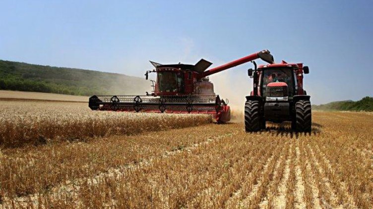 Съветват земеделските производители как да кандидатстват за субсидии