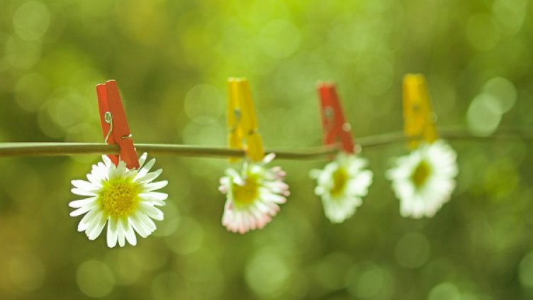 Какво ви очаква през 2019 според месеца ви на раждане - МАЙ