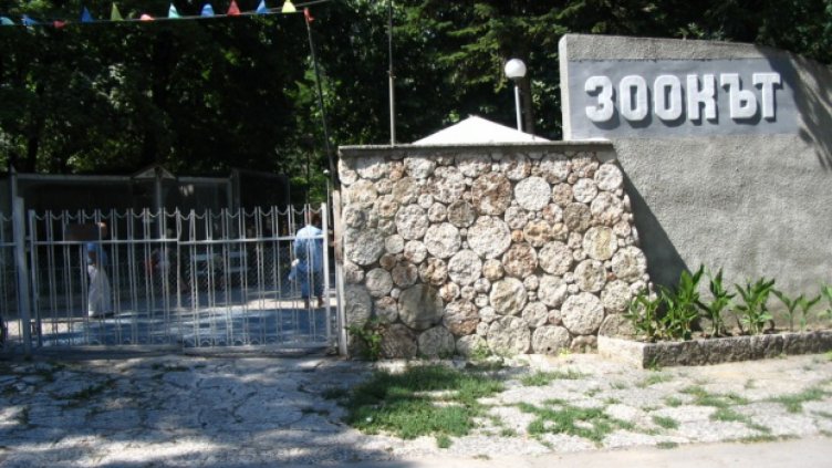 Над 200 елхи дарили на Зоопарка във Варна