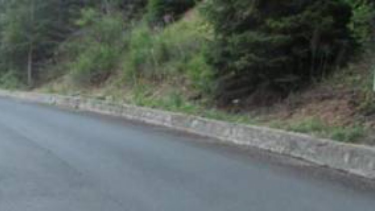 Аварирал ТИР затрудни движението през Прохода на Републиката