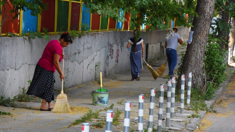 Бригади метат без пари улиците на Варна, събират липовия цвят