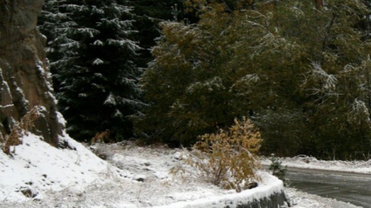 Нови десет села останаха без ток в Габровско