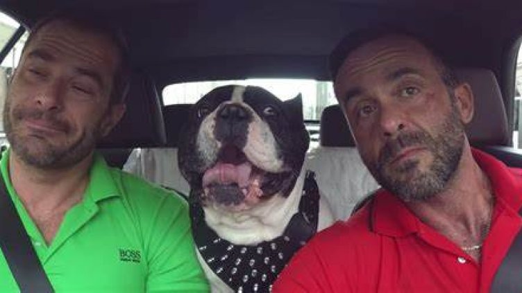 Виц на деня - 12 юни