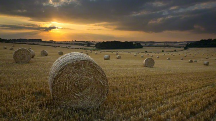 Наемът на земята отпада, остава арендата само в пари