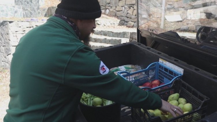 Мечките в Белица се събудиха от зимен сън