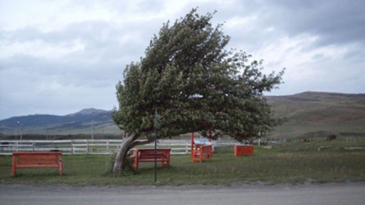 Жълт код  заради силен вятър