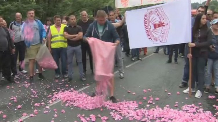 В Стрелча отмениха празника на розата, излизат на протест