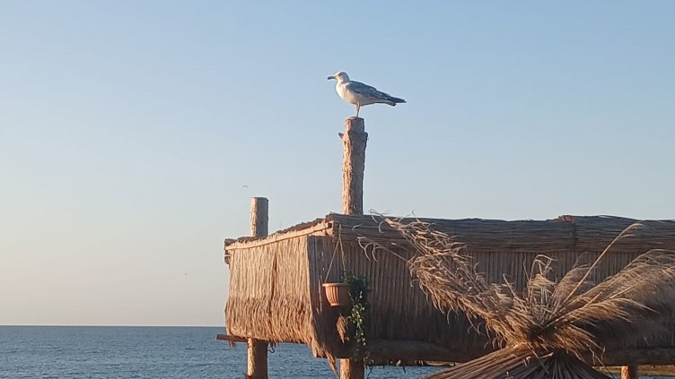 Какво ще бъде времето в понеделник?