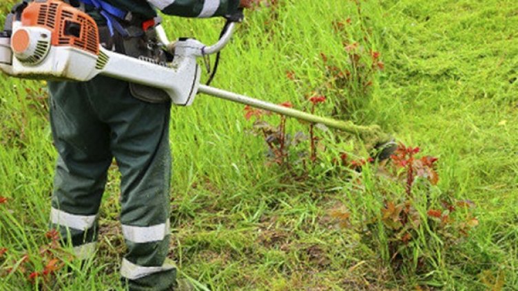 Забраняват косенето на трева до 7 август