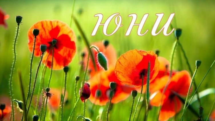 Жеги, засушаване и екстремни явления ни очакват през юни