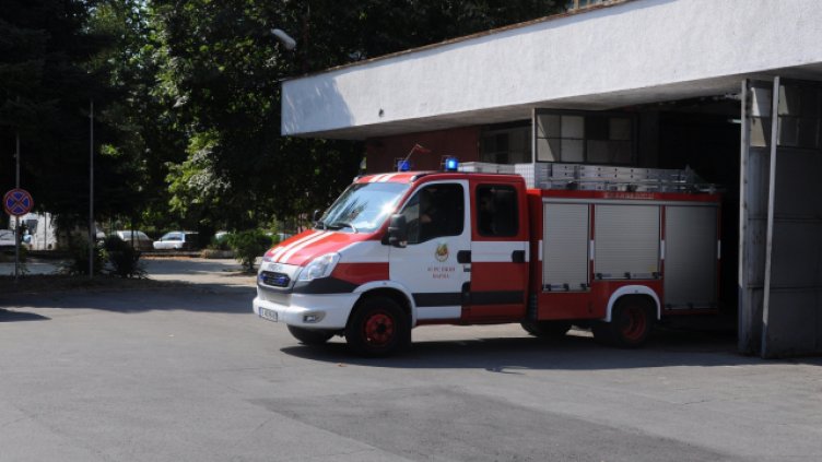 Снимка Ели Маринова