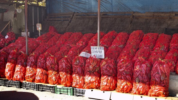 Снимки: Ели Маринова