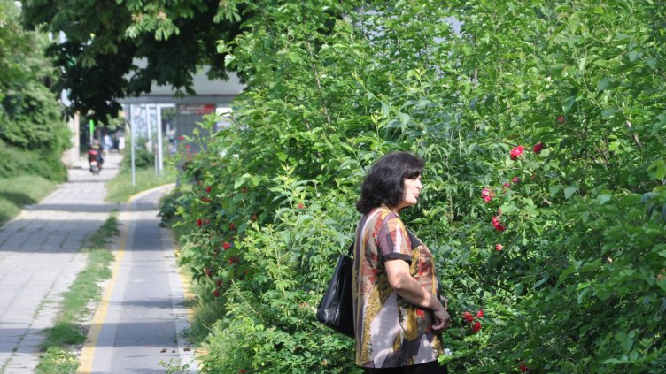 Снимка Пламен Гутинов