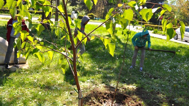 Снимка Пламен Гутинов