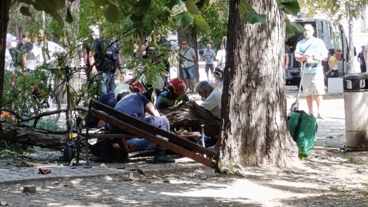 Как e пострадалият от паднал клон във Варна (СНИМКИ/ВИДЕО)