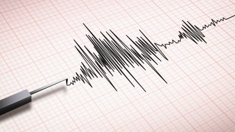Трус разлюля Босна и Херцеговина
