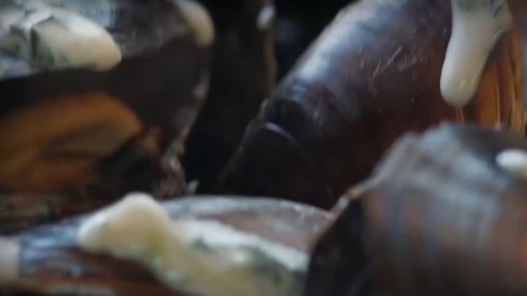 Мидите изчезнаха от менютата в капанчетата по морето (ВИДЕО)