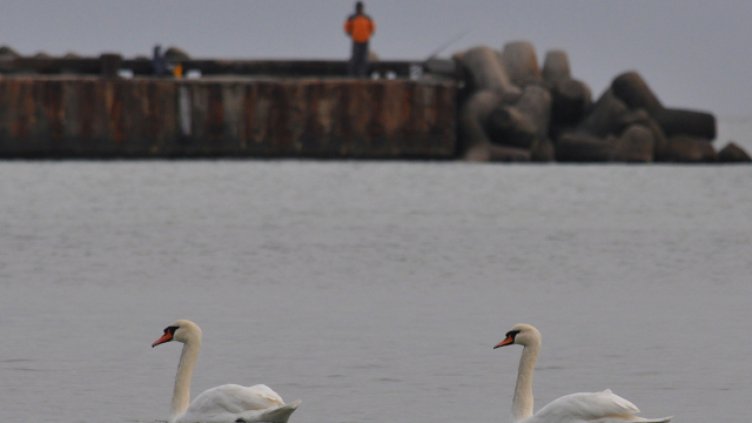 Променлива облачност и захлаждане по Черноморието в сряда