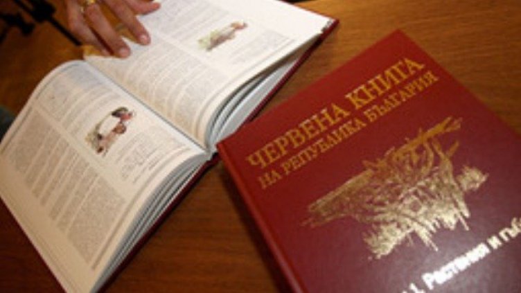 Рядко срещан за България смок видяха в Сливен