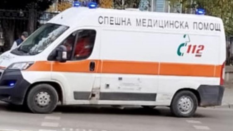 Огромно куче нападна и нахапа жестоко 6-годишно дете