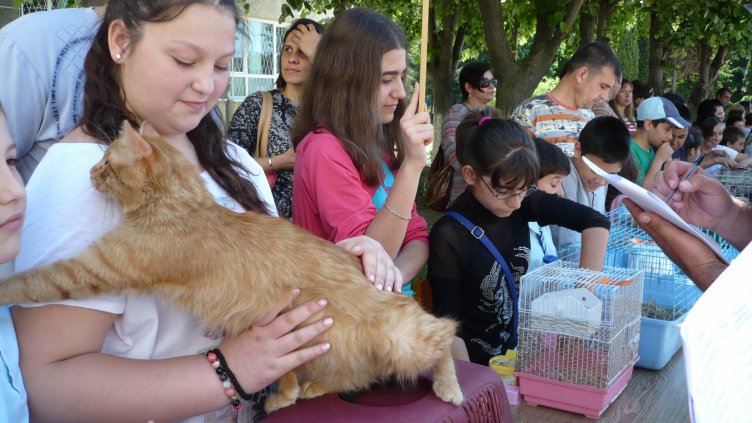 Снимка СОУ &quot;П. Яворов&quot;