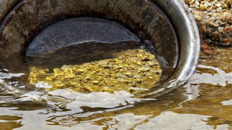 Треска за злато: По половин грам на ден вадят златотърсачи от Искър  