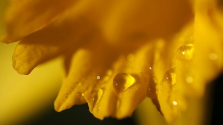 Неделята – облачна и дъждовна