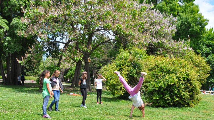 Снимка Пламен Гутинов