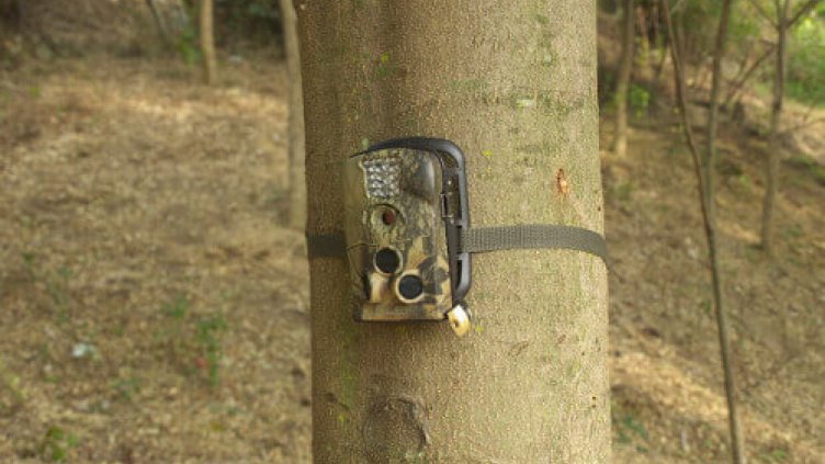 Фотокапан за мечки засече изчезналия младеж от Смилян