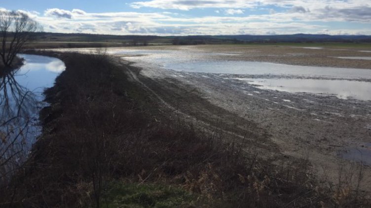 След обилните валежи: Разрушени са диги на Марица