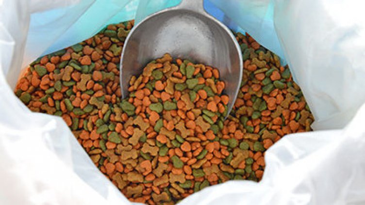 Скъпотия: Храната за домашни любимци стана лукс