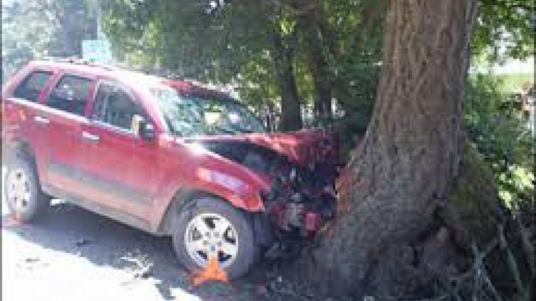 Поредна жертва на пътя край Варна