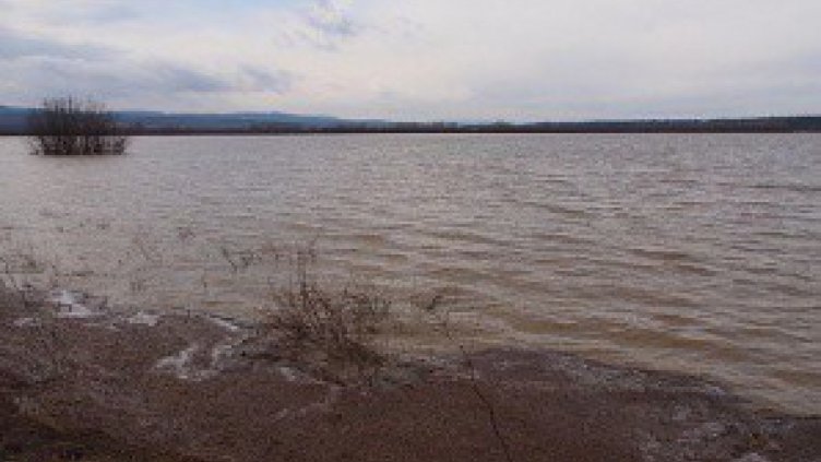 МОСВ очаква пик на нивата на реките