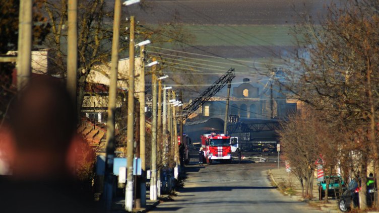 Снимка Пламен Гутинов