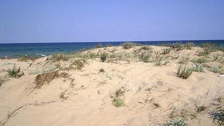 10 000 лв. глоби за нанесени щети по дюни и защитени растения наложи РИОСВ - Варна