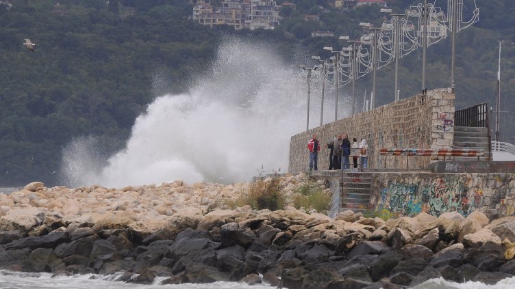 Снимка Пламен Гутинов