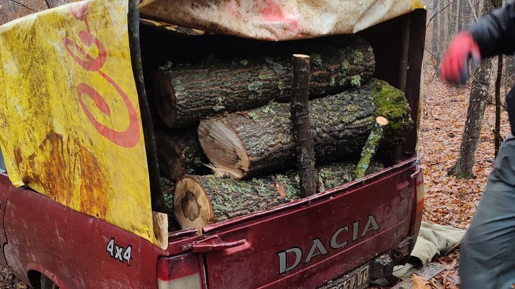 40 куб. дърва, 3 коли и 18 каруци конфискуваха горските край Варна само за месец