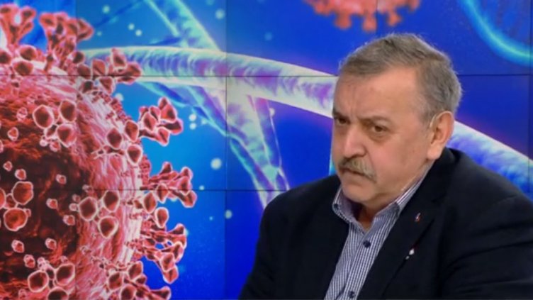 Проф. Кантарджиев: Има бум на ухапаните от кърлежи