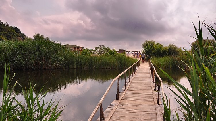 Февруарската пролет свърши, днес ще е облачно